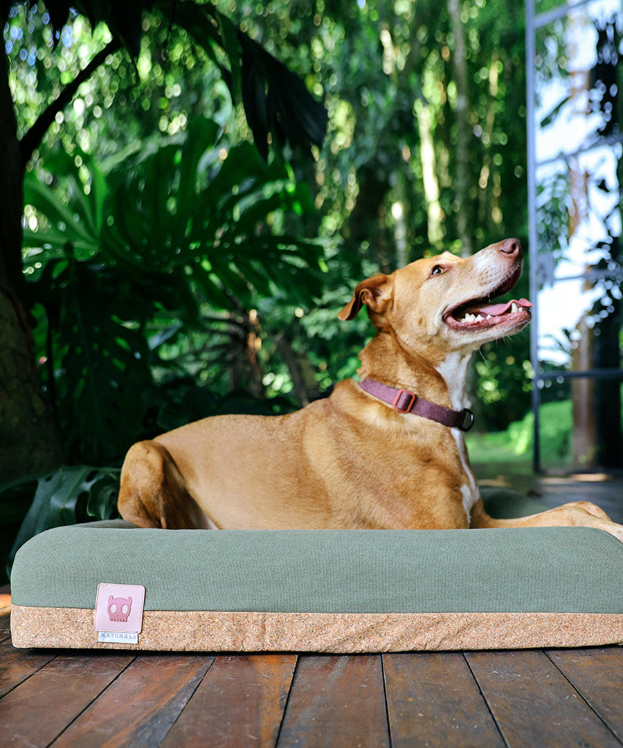 zee-dog-Panier-pour-chien-Zee.Bed-naturals