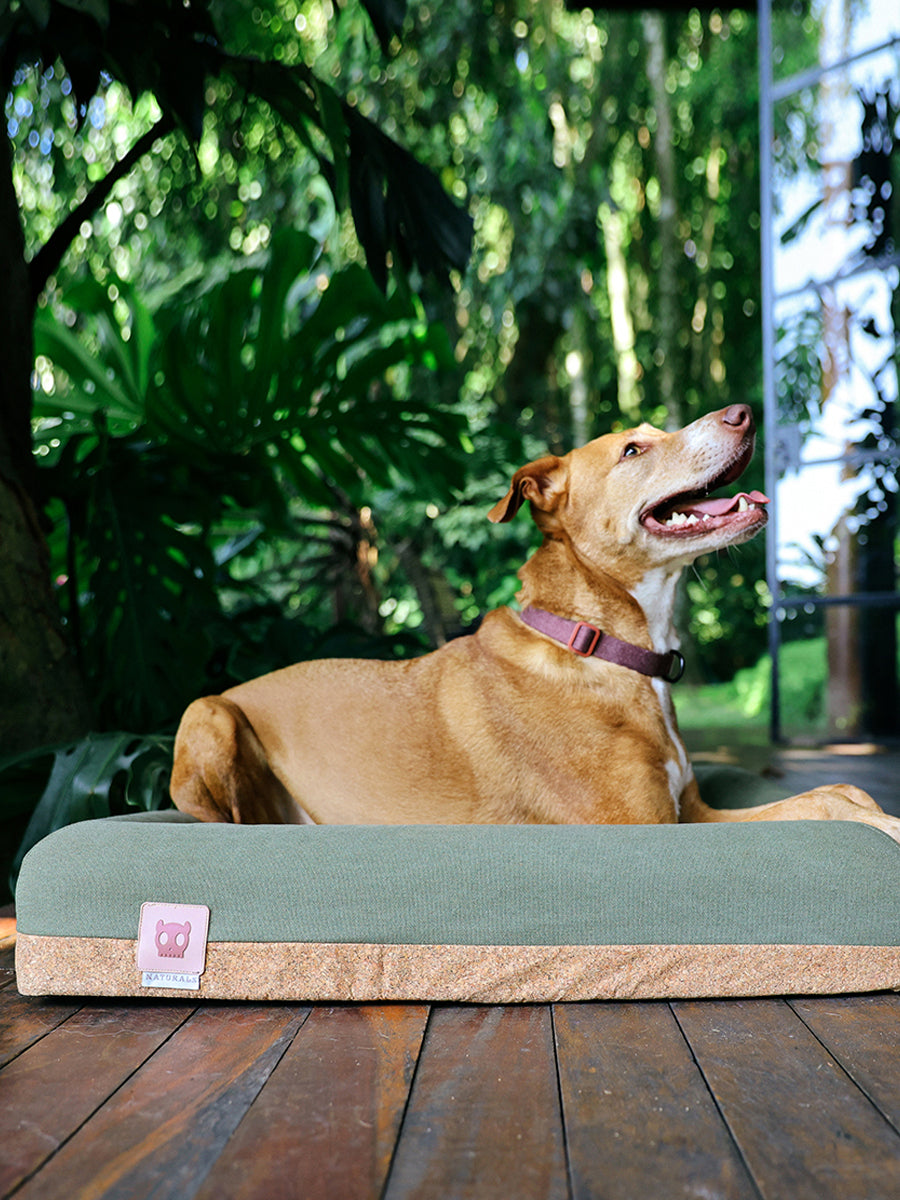 zee-dog-Panier-pour-chien-Zee.Bed-naturals