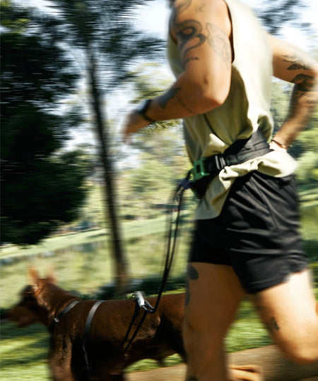 zee-dog-ceinture-canicross-pour-chien-zee-run-belt