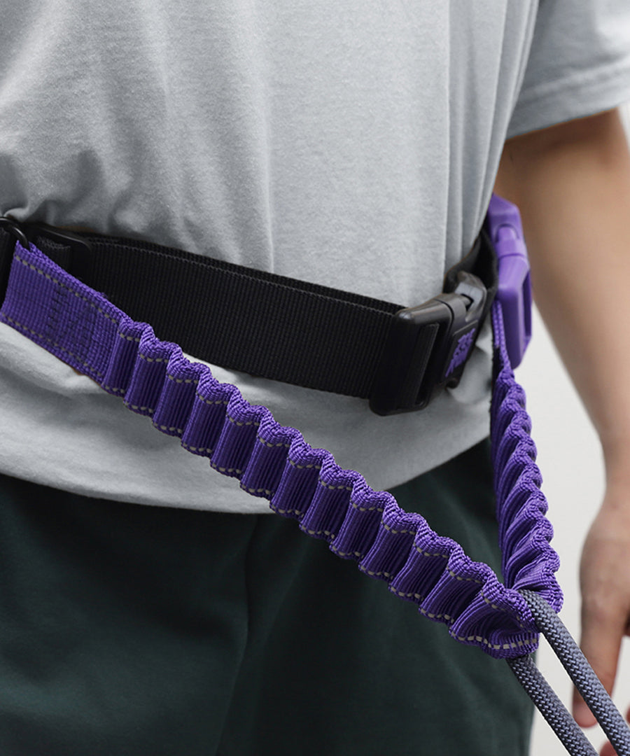 zee-dog-ceinture-canicross-pour-chien-zee-run-belt-Roxo