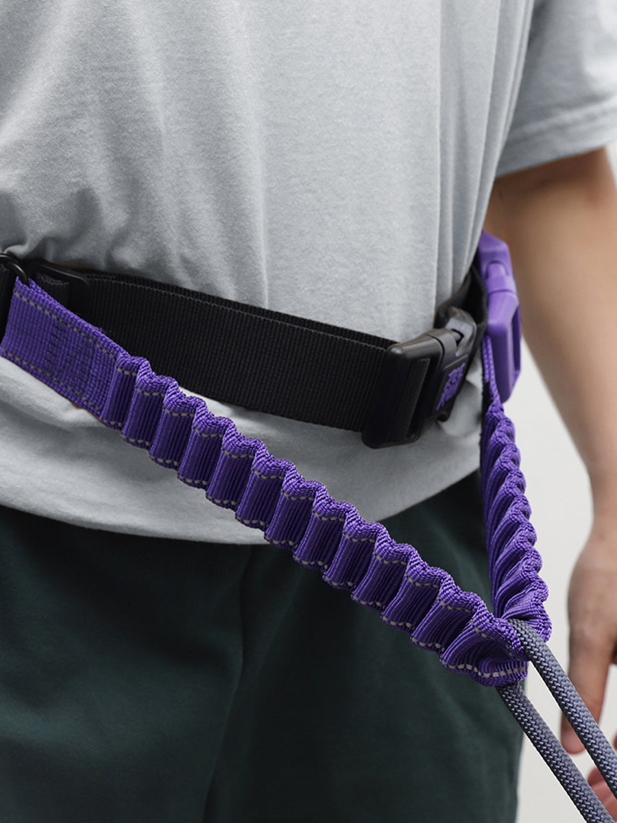 zee-dog-ceinture-canicross-pour-chien-zee-run-belt-Roxo