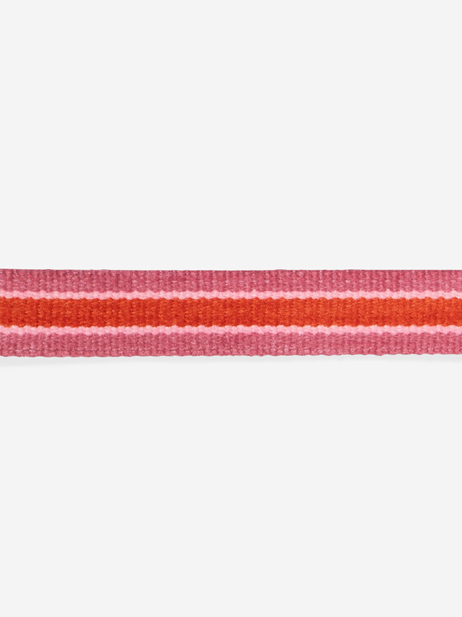 zee-dog-collier-anti-etranglement-pour-chat-Velvet-Vibes-courtney