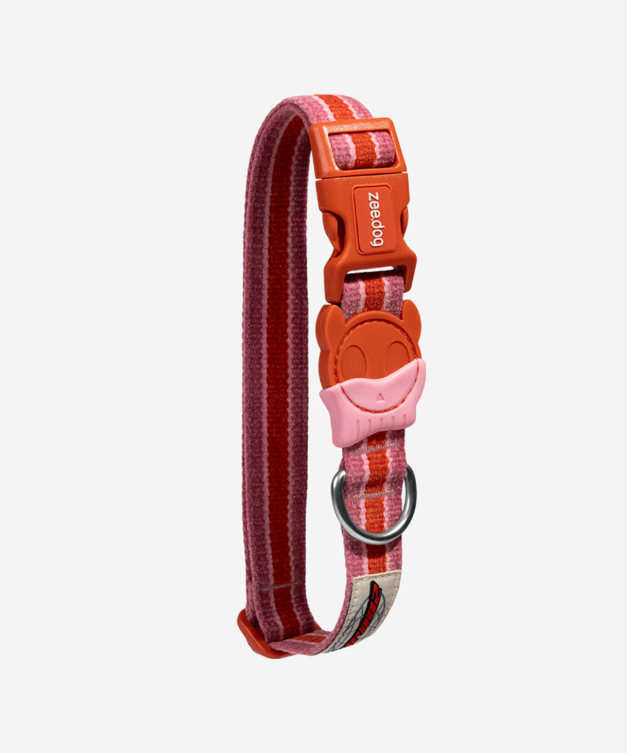 zee-dog-collier-pour-chien-Velvet-Vibes-courtney