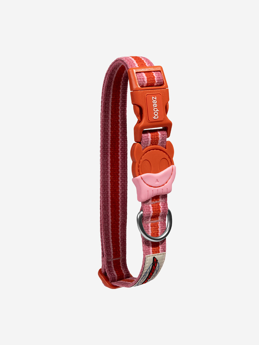 zee-dog-collier-pour-chien-Velvet-Vibes-courtney