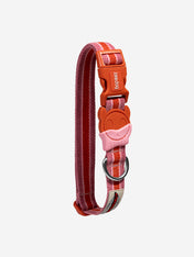 zee-dog-collier-pour-chien-Velvet-Vibes-courtney