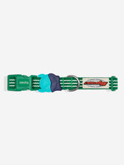 zee-dog-collier-pour-chien-Velvet-Vibes-green
