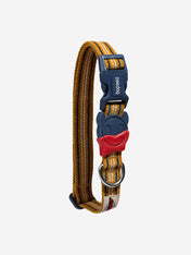 zee-dog-collier-pour-chien-Velvet-Vibes-misfit