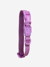 zee-dog-collier-pour-chien-impermeable-Neopro-ultra-violet