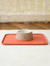 zee-dog-gamelle-antiderapante-pour-chien-melamine-Desert