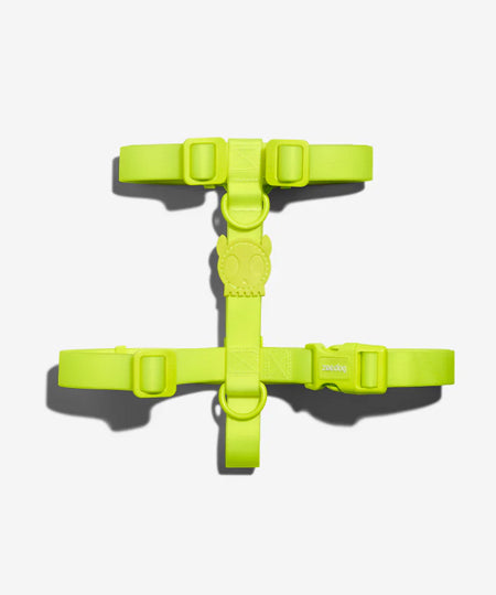 zee-dog-harnais-en-H-pour-chien-impermeable-Neopro-lime