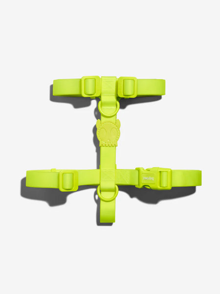zee-dog-harnais-en-H-pour-chien-impermeable-Neopro-lime