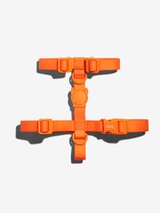 zee-dog-harnais-en-H-pour-chien-impermeable-Neopro-tangerine-orange