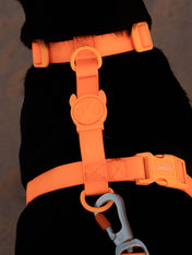 zee-dog-harnais-en-H-pour-chien-impermeable-Neopro-tangerine-orange