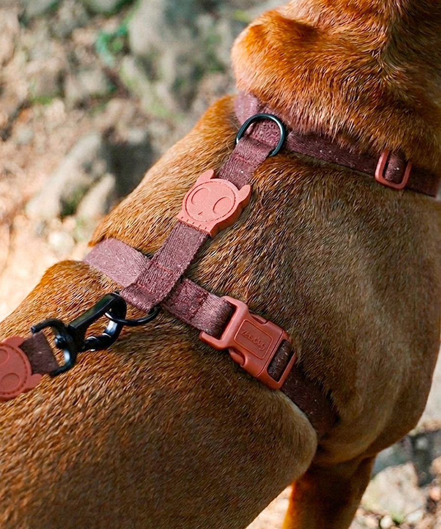 zee-dog-harnais-en-H-pour-chien-naturals-Cocoa
