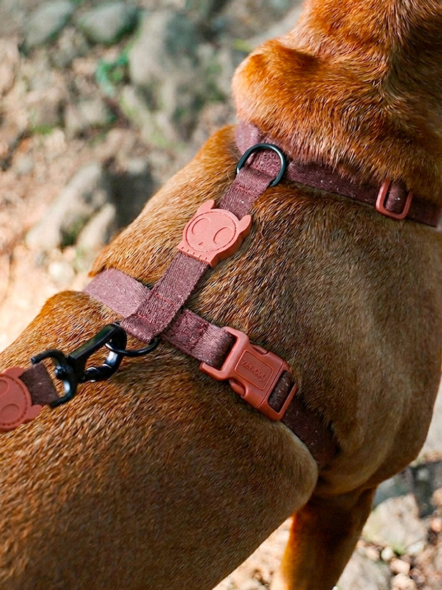zee-dog-harnais-en-H-pour-chien-naturals-Cocoa