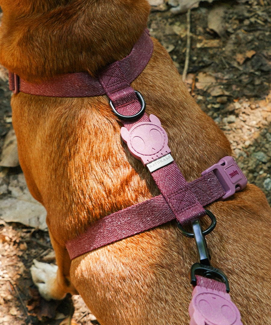 zee-dog-harnais-en-H-pour-chien-naturals-Hibiscus