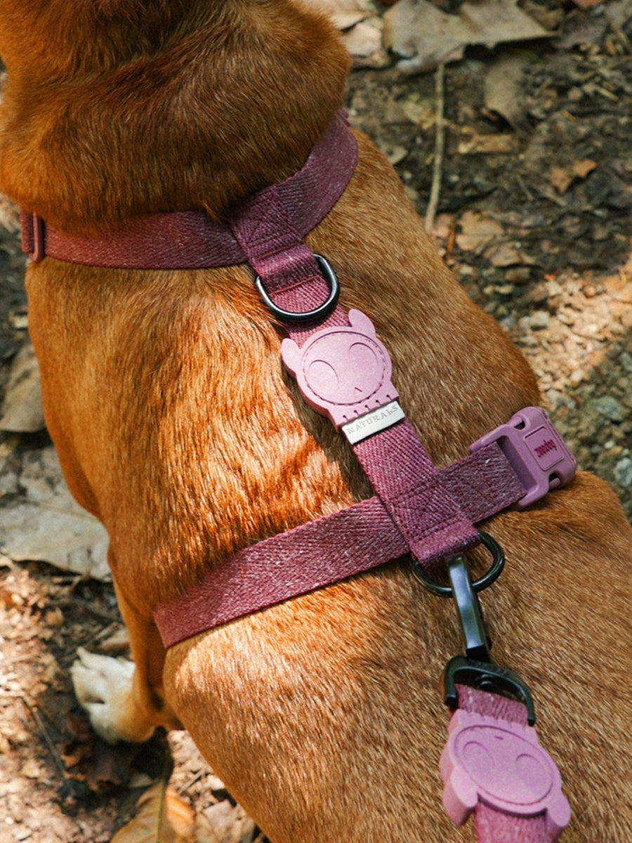 zee-dog-harnais-en-H-pour-chien-naturals-Hibiscus