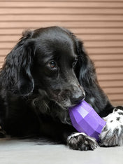 zee-dog-jouet-distributeur-friandises-interactif-Super-Veggiez-aubergine