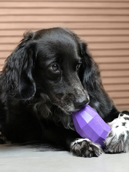 zee-dog-jouet-distributeur-friandises-interactif-Super-Veggiez-aubergine
