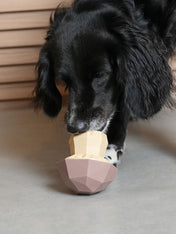 zee-dog-jouet-distributeur-friandises-interactif-Super-Veggiez-champignon