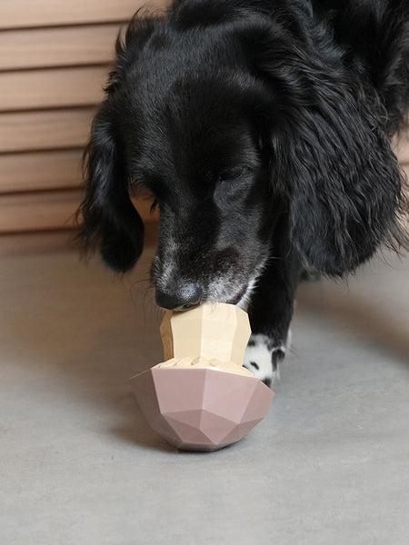 zee-dog-jouet-distributeur-friandises-interactif-Super-Veggiez-champignon