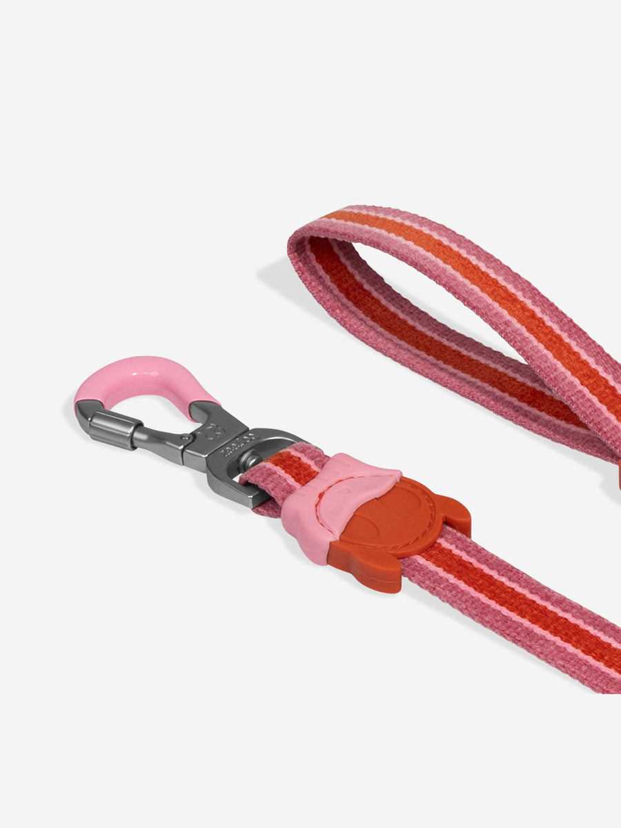 zee-dog-laisse-pour-chien-Velvet-Vibes-courtney