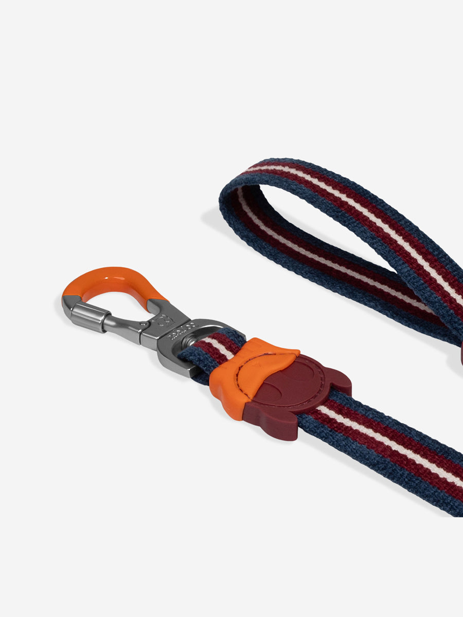 zee-dog-laisse-pour-chien-Velvet-Vibes-dropout