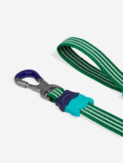 zee-dog-laisse-pour-chien-Velvet-Vibes-green