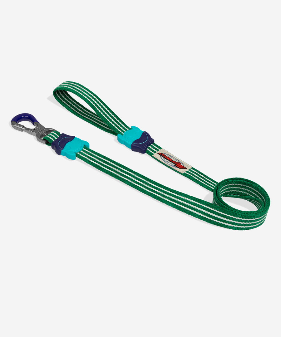 zee-dog-laisse-pour-chien-Velvet-Vibes-green