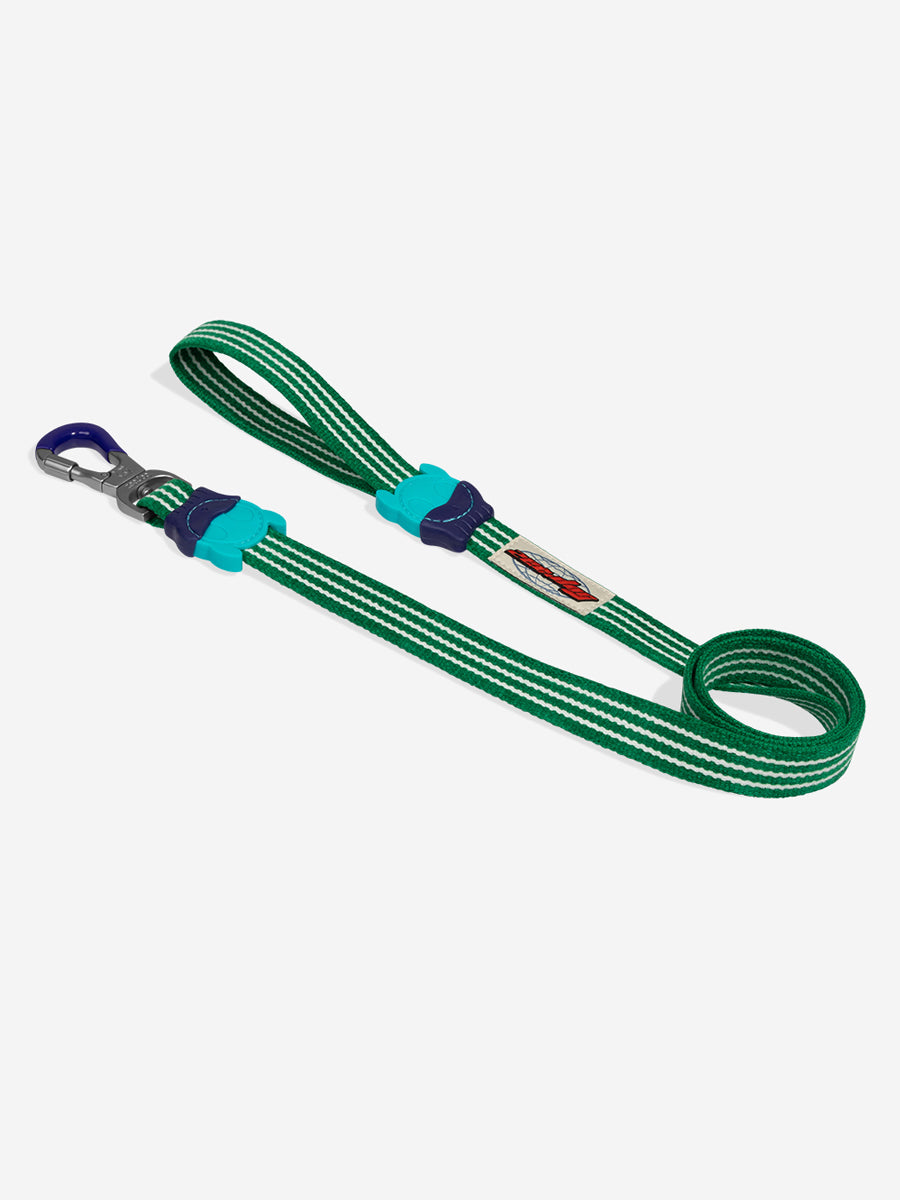 zee-dog-laisse-pour-chien-Velvet-Vibes-green