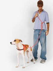 zee-dog-laisse-pour-chien-main-libre-reglable-Neon-Coral
