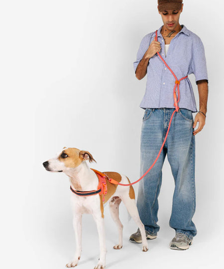 zee-dog-laisse-pour-chien-main-libre-reglable-Neon-Coral