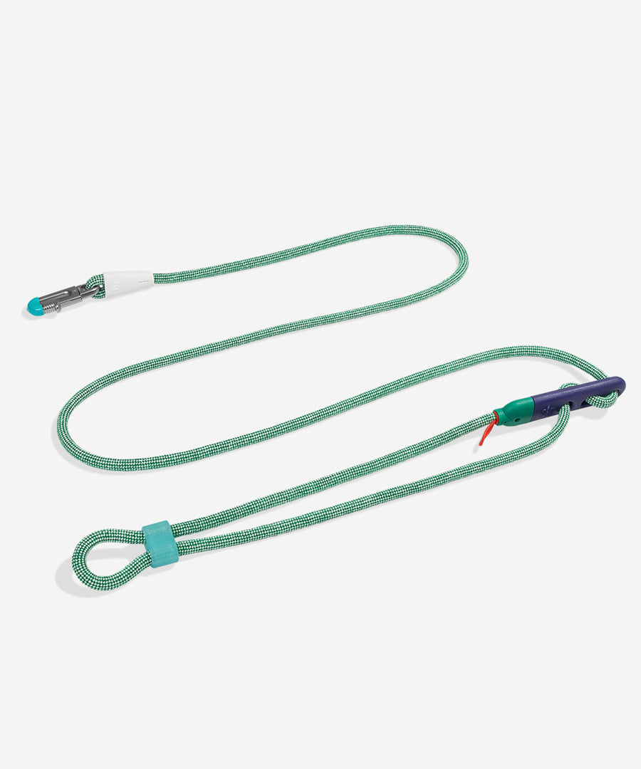 zee-dog-laisse-pour-chien-main-libre-reglable-Velvet-Vibes-green