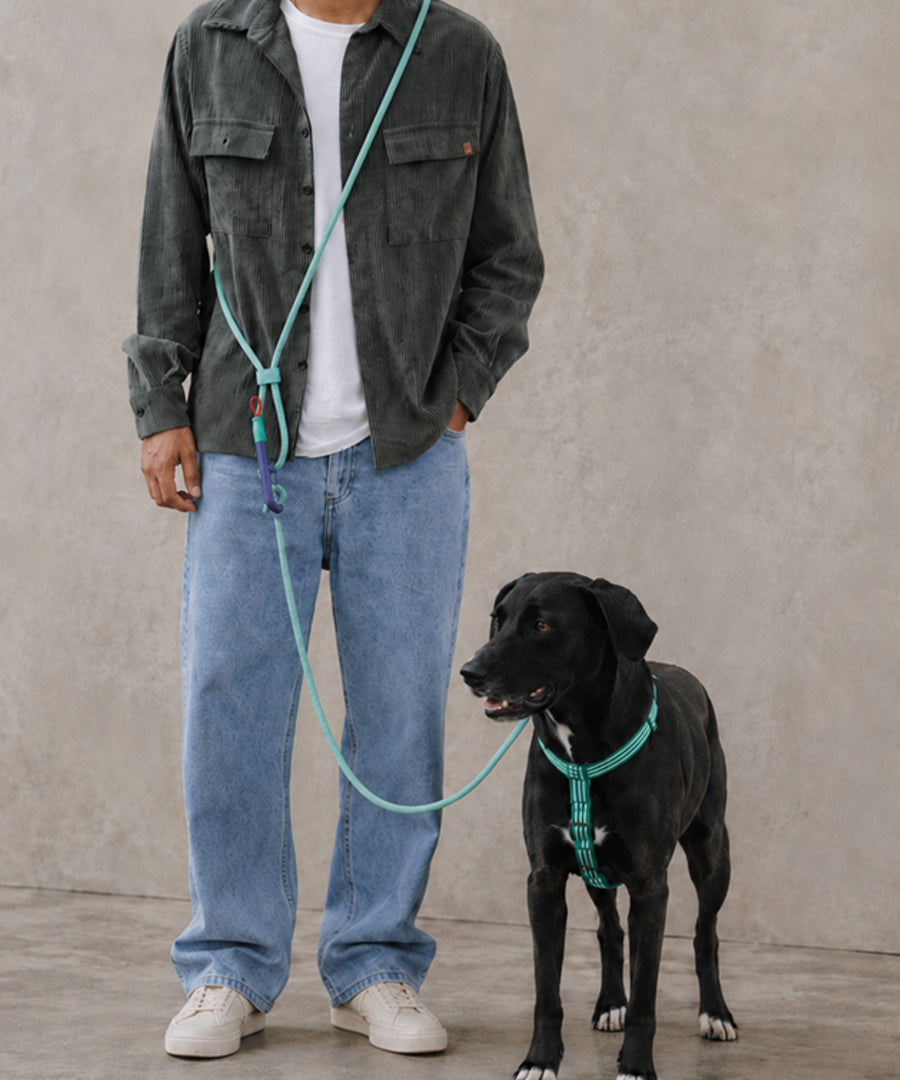 zee-dog-laisse-pour-chien-main-libre-reglable-Velvet-Vibes-green