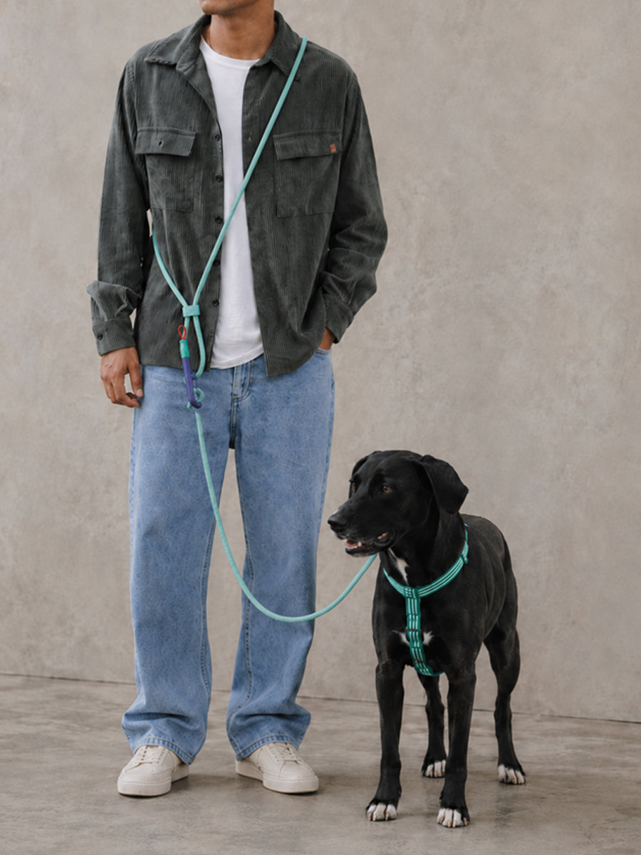 zee-dog-laisse-pour-chien-main-libre-reglable-Velvet-Vibes-green