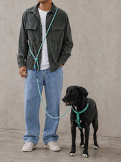 zee-dog-laisse-pour-chien-main-libre-reglable-Velvet-Vibes-green