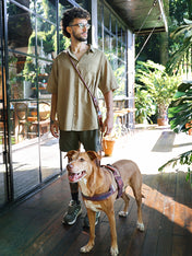 zee-dog-laisse-pour-chien-main-libre-reglable-naturals-cacao
