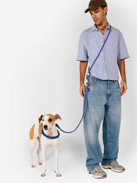 zee-dog-laisse-pour-chien-main-libre-reglable-tokyo
