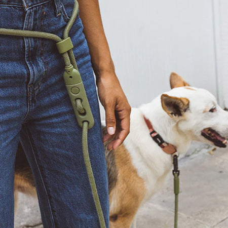 zee-dog-laisse-pour-chien-main-libre-reglable-vert-Army-Green
