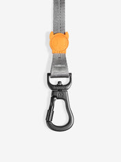 zee-dog-longe-pour-chien-3-metre