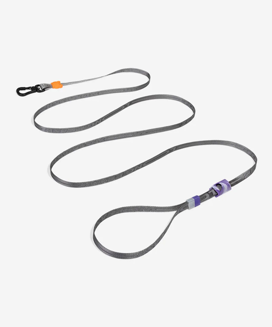 zee-dog-longe-pour-chien-3-metre