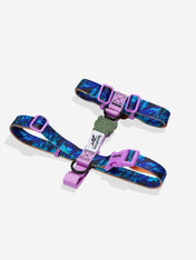 zee-dog-x-reebok-Trekk-harnais-en-h-pour-chien