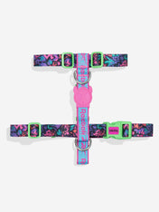 zee-dog-x-reebok-aerobic-harnais-en-h-pour-chien