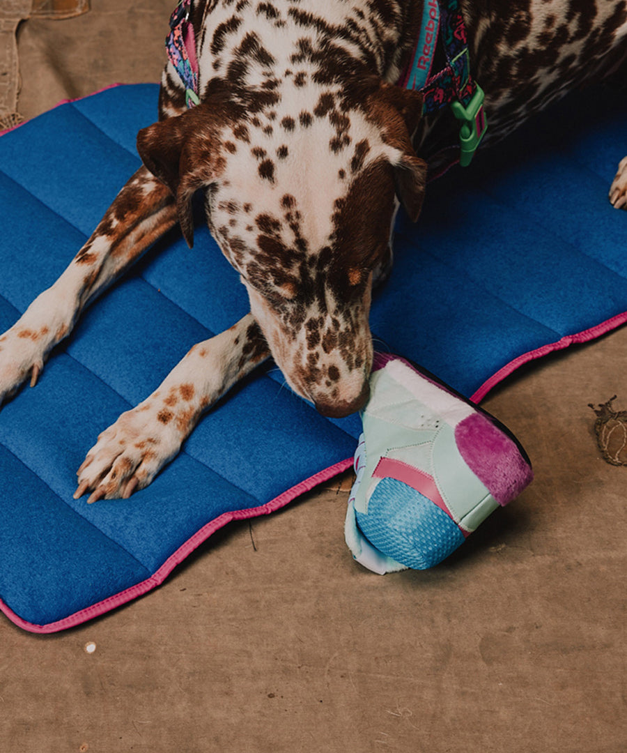 zee-dog-x-reebok-aerobic-jouet-basket-peluche-pour-chien