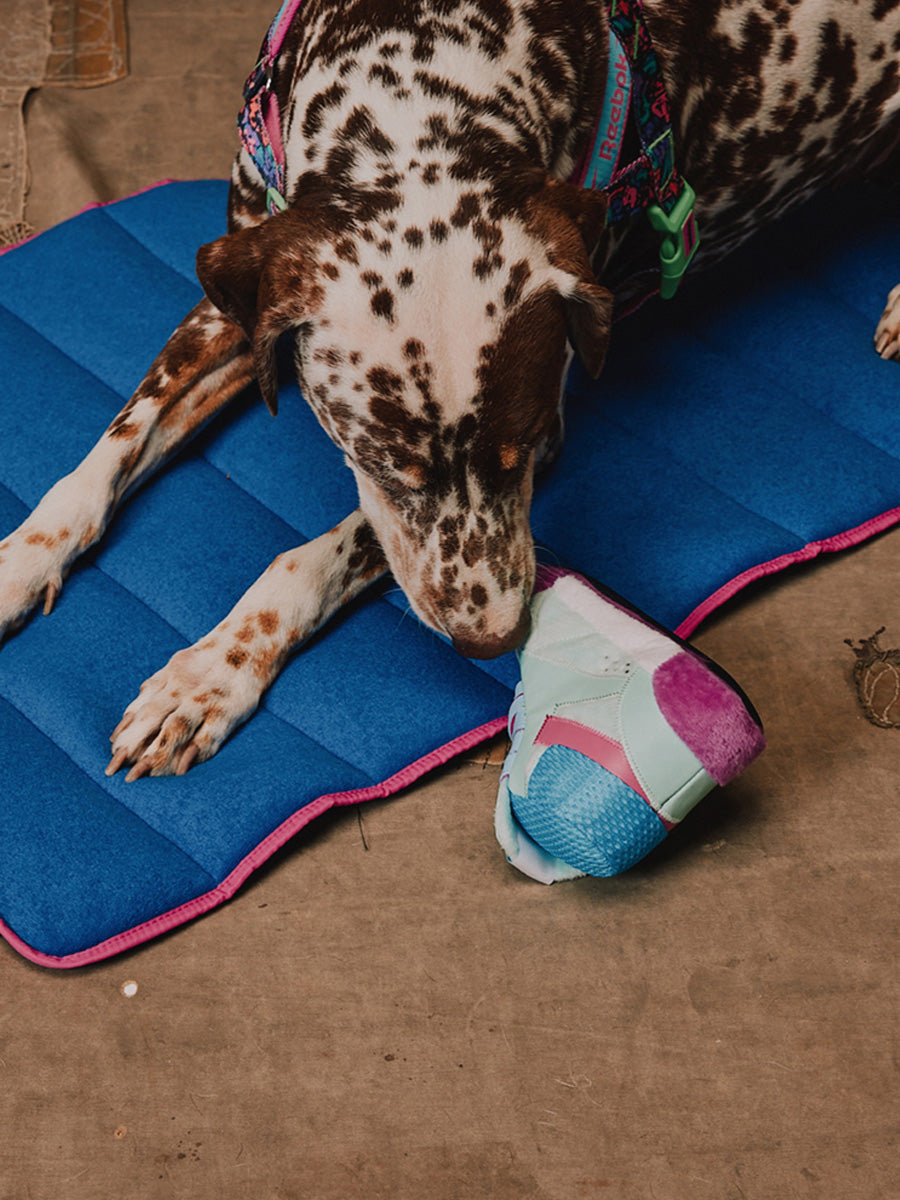 zee-dog-x-reebok-aerobic-jouet-basket-peluche-pour-chien