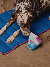 zee-dog-x-reebok-aerobic-jouet-basket-peluche-pour-chien