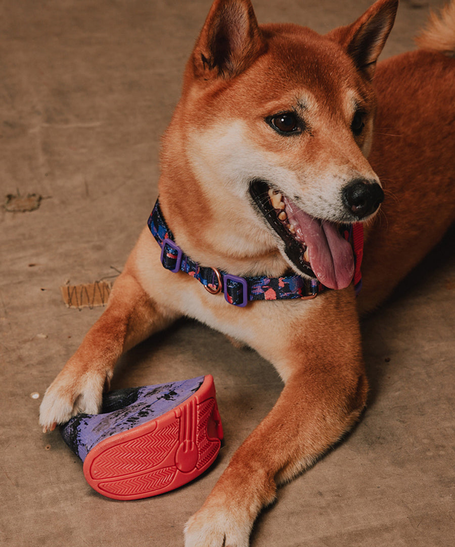 zee-dog-x-reebok-court-jouet-resistant-pour-chien