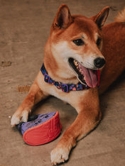 zee-dog-x-reebok-court-jouet-resistant-pour-chien