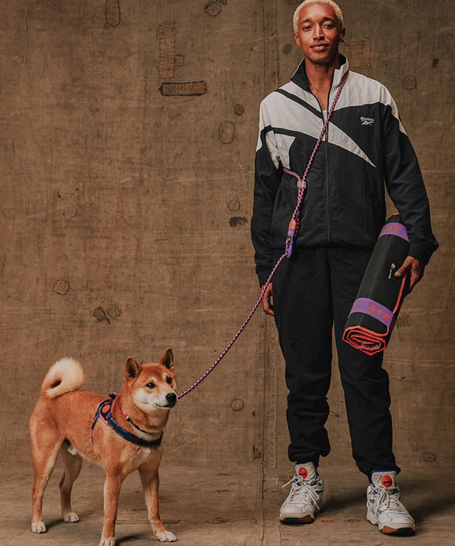 zee-dog-x-reebok-court-laisse-pour-chien-main-libre-reglable