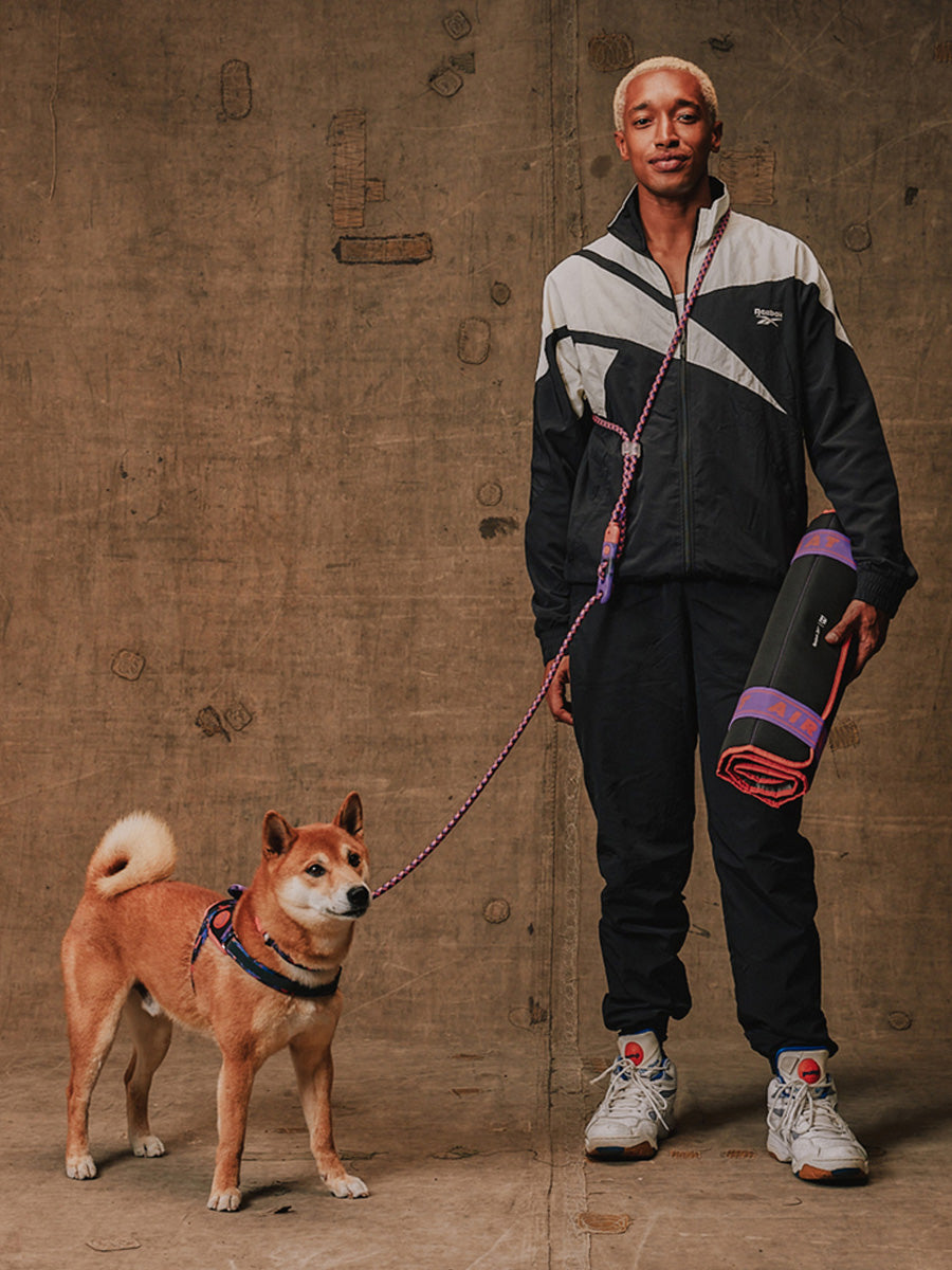 zee-dog-x-reebok-court-laisse-pour-chien-main-libre-reglable